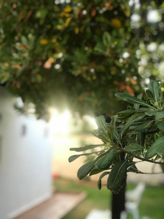 ホテル Pension Frasquita マタラスカニャス エクステリア 写真